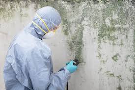 Best HVAC Mold Inspection and Cleaning in Clton, IN